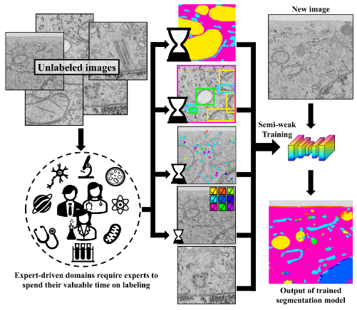 Decoupled Semantic Prototypes